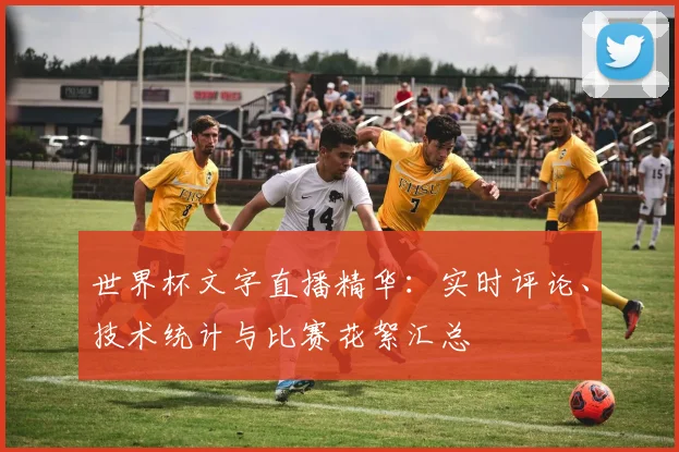 世界杯文字直播精华：实时评论、技术统计与比赛花絮汇总