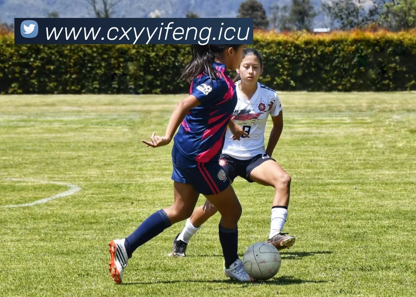 九游网页版直接进入官网全站App